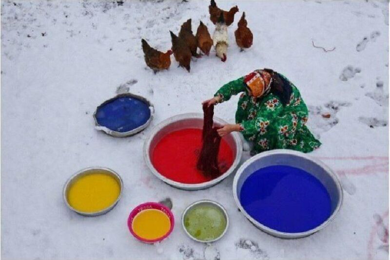 کسب-مدال-طلای-جشنواره-بین-المللی-قرقیزستان-توسط-عکاس-اهری