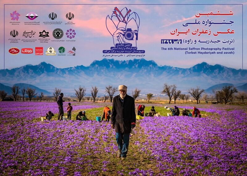 برگزیدگان-ششمین-جشنواره-ملی-عکس-زعفران-ایران-مشخص-شدند
