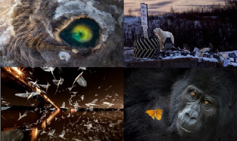 عکس‌های-برگزیده-رقابت-عکاسی-طبیعت-جهان-در-سال2026